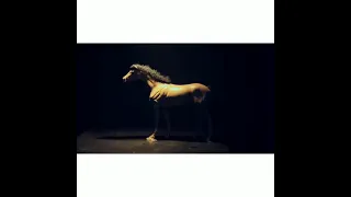 شيت مش لاقي ولا تيشرت    ابيوسف   دندنها