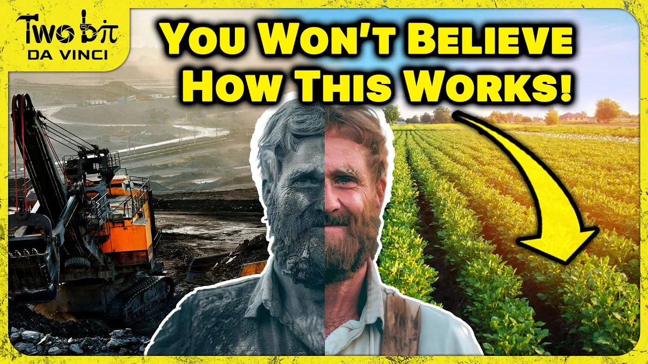 These Plants MINE METALS, Here's How!