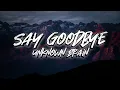 Download Lagu Unknown Brain - Say Goodbye #lyrics #ncs #hopkinlyrics #unkownbrain