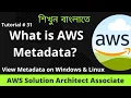 What is AWS Metadata View Metadata on Linux and Windows EC2 Tutorial 31