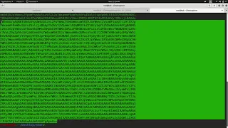 Exploiting Java deserialization with Apache Commons