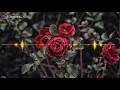 Download Lagu Nazia marwiana - Terdiam Sepi