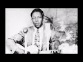 Robert Nighthawk-Friar's Point Blues