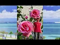 『アンマー』 かりゆし58 【Full Karaoke 🎤 Cover Song】 "Anma" - Kariyushi 58