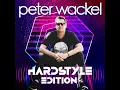 Inselfieber (Hardstyle Remix)