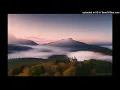 Fedde Le Grand -Shake That Ass(Aster Remix)
