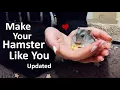 How to Tame Your Hamster and Make Them Like You UPDATED
