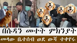 አስደንጋጩ ጉዳይ ገጠመን አጎታቸው ለቤት ውርስ ብሎ በሱዳን መተት ሁሉንም ቤተሰብ ወደ ውሻ ቀየረ 