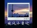 晚风不要吹 - 林韵乔
