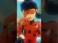 Edit of Ladybug