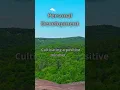 Download Lagu Mindset Gardening: Planting Happiness Seeds #PositiveLiving