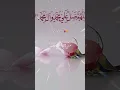Download Lagu SallahuAla Muhammad 🌹🥰#allahuakbar #muhmmadﷺ #islamicpost #fypシ゚viral