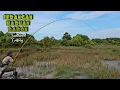 Download Lagu MAMAIR IWAK HARUAN/GABUS BABON DI DANAU PURUN TERSEMBUNYI PINGGIRAN HUTAN