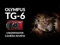 Olympus TG 6 Underwater Camera Review