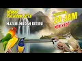 Download Lagu #4 LIVE MASTERAN AMPUH MUDAH DITIRU ANTI STRESS UNTUK BURUNG MURAI BATU‼️