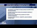 Lagu United Flight Attendants Picket