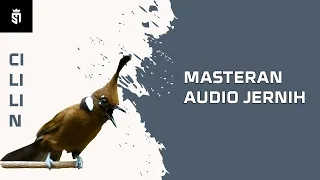 masteran audio jernih cililin nembak rapat masteran burung juara masteraan handal