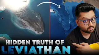 mystery of leviathan the most terrifying giant mythical sea monster 