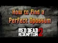 RDR2 - How To Find A Perfect Opossum