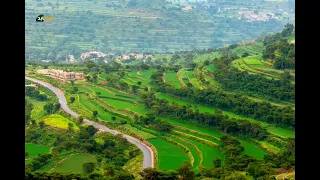                                                                                                      دندنها