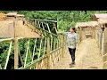 Download Lagu Woman completes bamboo corridor fence: creating natural beauty and cozy space for the house
