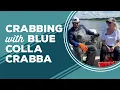 Download Lagu Liefde \u0026 Beste Gerechten: Krabben vangen met blauwe krabben | Hoe je blauwe krabben vangt