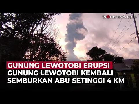 Gunung Lewotobi Laki-laki Erupsi Lagi, Abu Capai 4 Km dan Warga Nekat Pulang