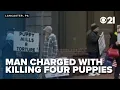 Man accused of killing four puppies because black puppies aren t selling
