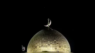 فيكي هذا القلب هام أنشودة إلى أقصانا 