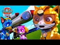 Mighty Pups dan Cat Pack Bekerja Sama untuk Menghentikan Roket Liar | PAW Patrol | Episode Indonesia