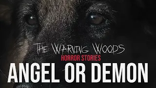 ANGEL OR DEMON | Horror Fiction | The Warning Woods Horror Stories and Scary Fiction Podcast
