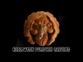 Halloween Witch Pumpkin Carving - Erlz 2019