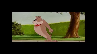 tom and jerry 88 episode pet peeve 1954 