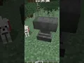 How to NAME your Dog in Minecraft