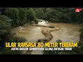 GILA‼️ Ular Raksasa Ini Masih Hidup... Rekaman Drone di Sungai Amazon Paling Mengerikan Tahun Ini