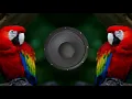 Download Lagu Jawa navin popat ha dj Sagar tayade by