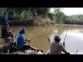 Download Lagu Pemancing pada berkumpul..!! Di sungai lagi musim ikan lais dan lepok bermigrasi