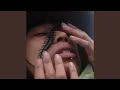 the bug collector