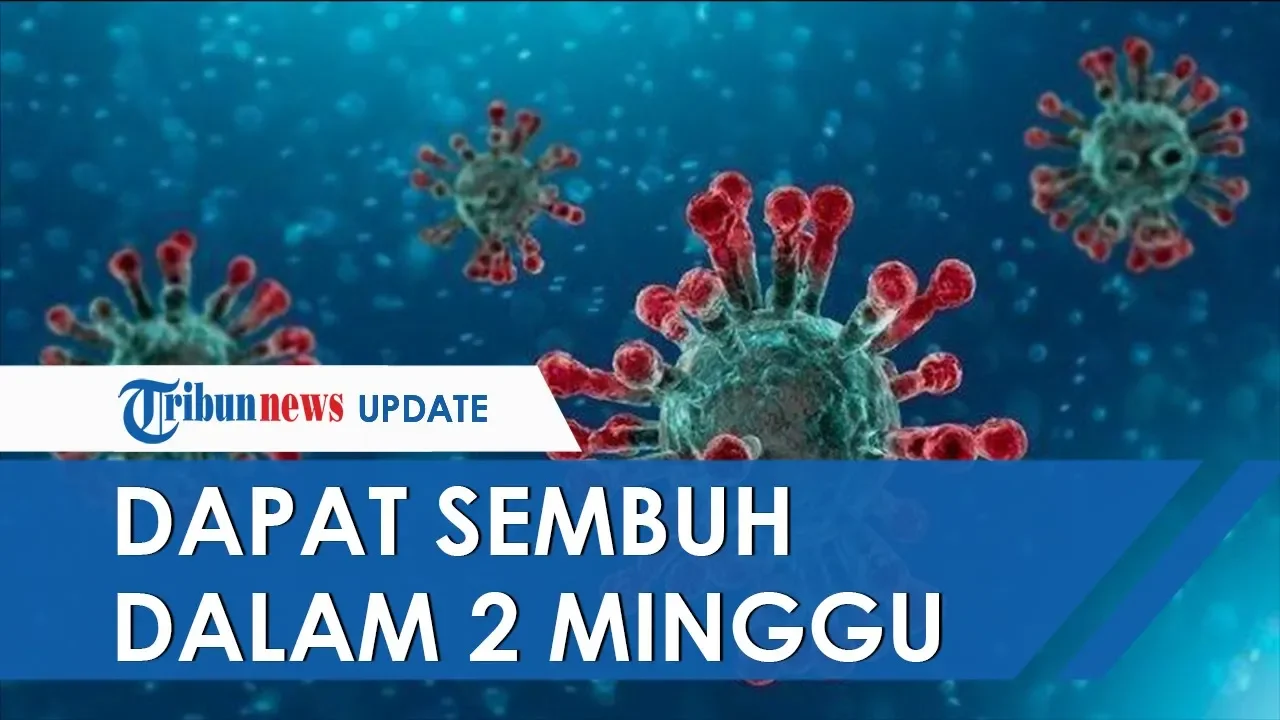 Berapa hari masa inkubasi Covid-19 ? Pandemi Covid-19 119 EXT 9. 