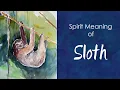 Sloth Spirit Totem Spirit Meaning of Sloth