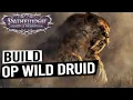 OP DRUID SHAPESHIFTER Build Guide - PATHFINDER WRATH OF THE RIGHTEOUS