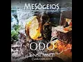 Download Lagu Nami Nami (Official) ODO Ensemble - Berceuse égyptienne - Lullaby from Egypt -  نامي نامي ، تهليل