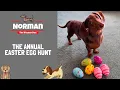 The Annual Easter Egg Hunt