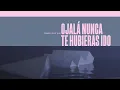 Lewis Capaldi - Wish You The Best (Official Spanish Lyric Video)