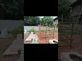 Download Lagu uda sama umak ayah sederhana dulu ya yah nanti buat bagus seperti umak