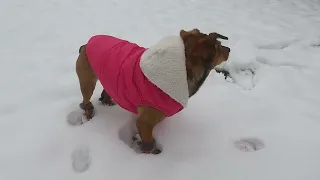 First time seeing Snow ❄️