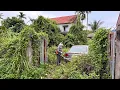 Lagu house was buried under overgrown weeds after the storm | we came to help her clean it up satisfying