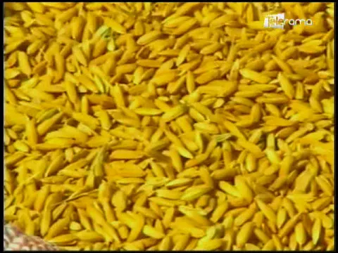 Ecuador Agropecuario 14-06-2018