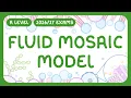 A-Level Biology - Fluid Mosaic Model