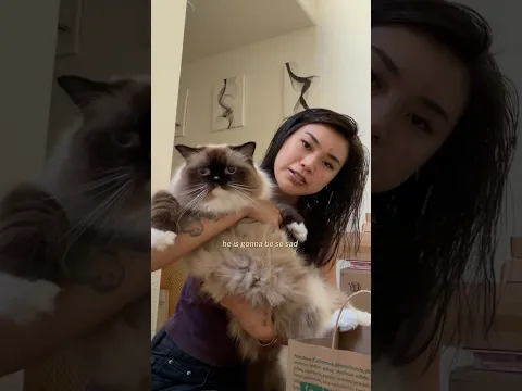 LEAVING MY CATS AT HOME FOR 2 WEEKS?